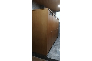 宁乡金易工业园卫生间隔断建造案例
