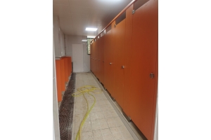 麓谷高 级中学